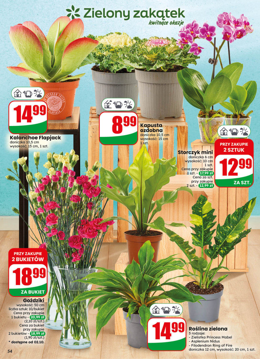 Dino gazetka promocyjna 30.09-06.10.2026 — strona 54 z 78