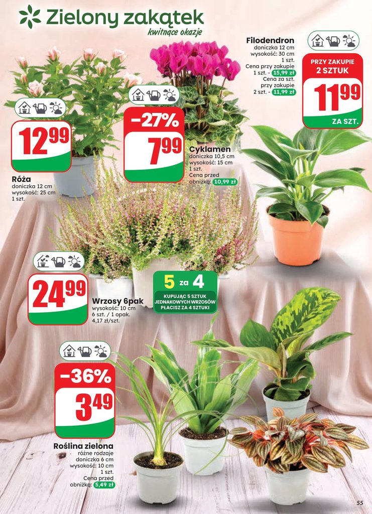 Dino gazetka promocyjna 09.09-15.09.2026 — strona 55 z 84