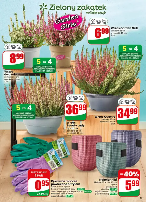 Dino gazetka promocyjna 30.09-06.10.2026 — strona 55 z 78