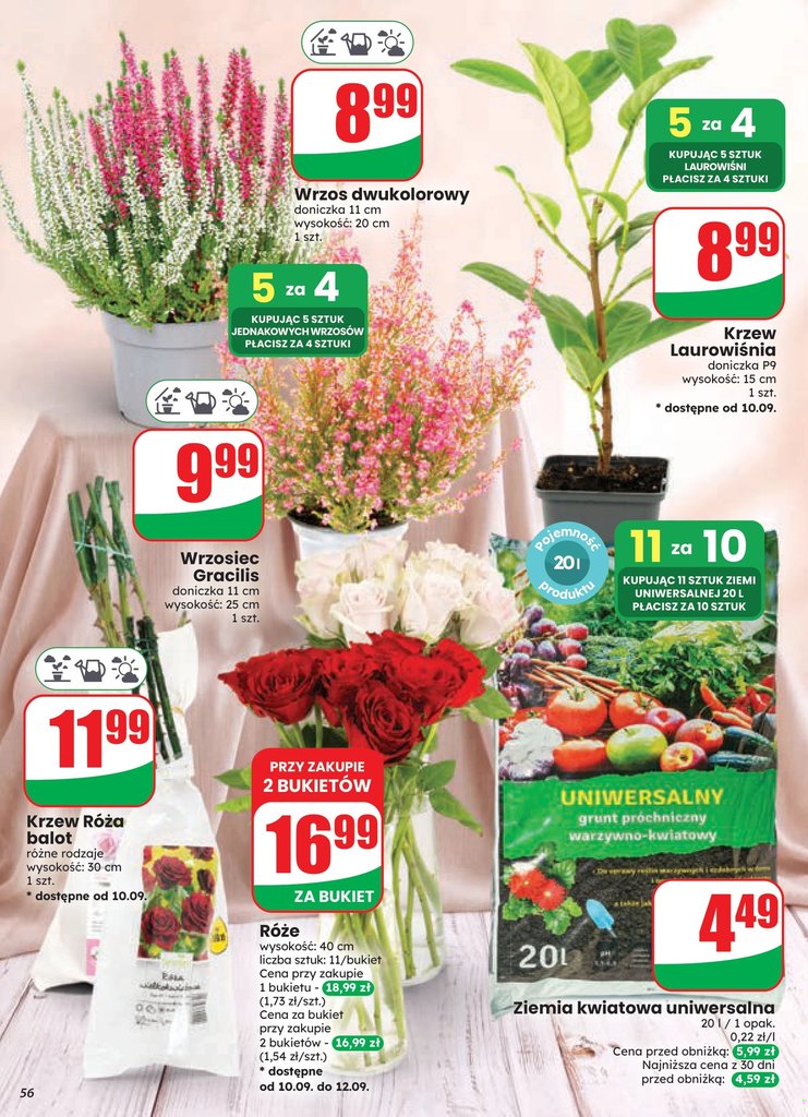 Dino gazetka promocyjna 09.09-15.09.2026 — strona 56 z 84