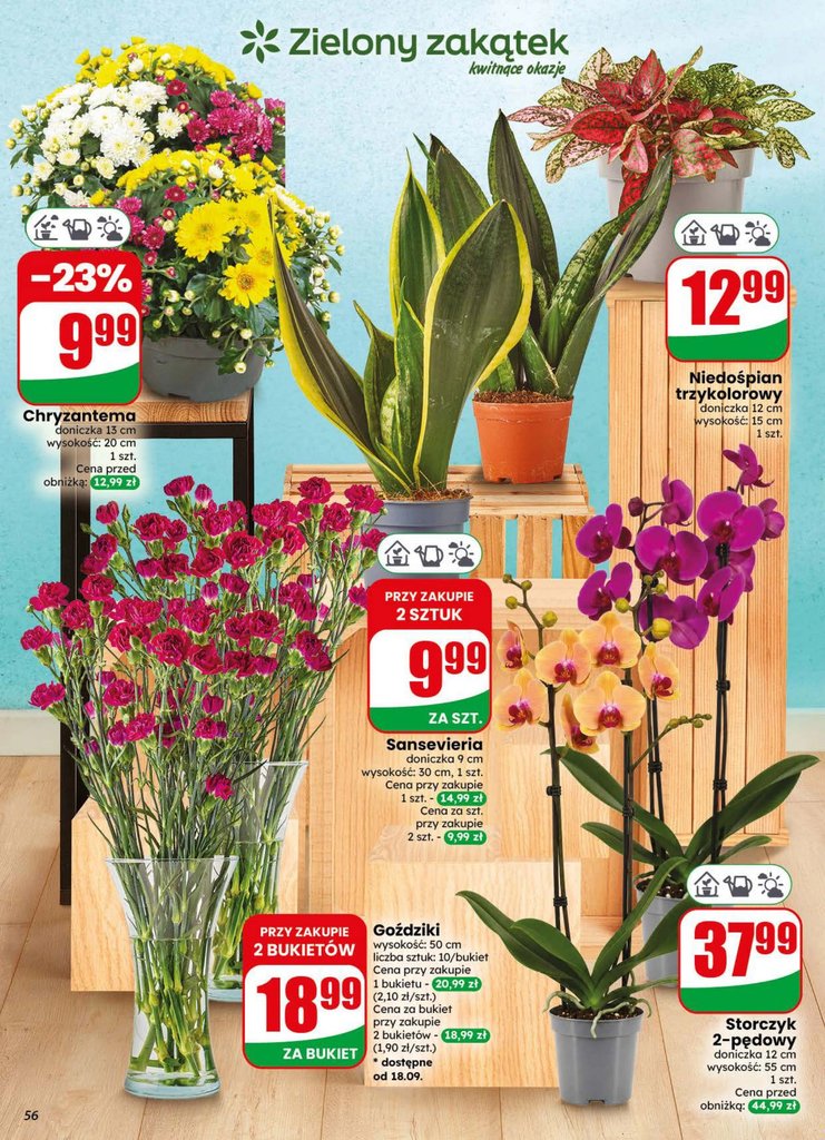 Dino gazetka promocyjna 16.09-22.09.2026 — strona 56 z 84