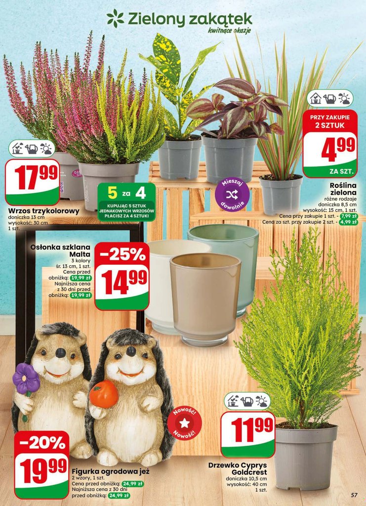 Dino gazetka promocyjna 16.09-22.09.2026 — strona 57 z 84
