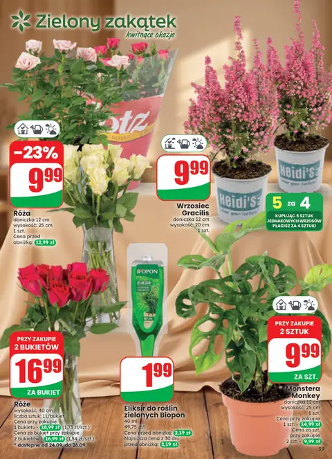 Dino gazetka promocyjna 23.09-29.09.2026 — strona 59