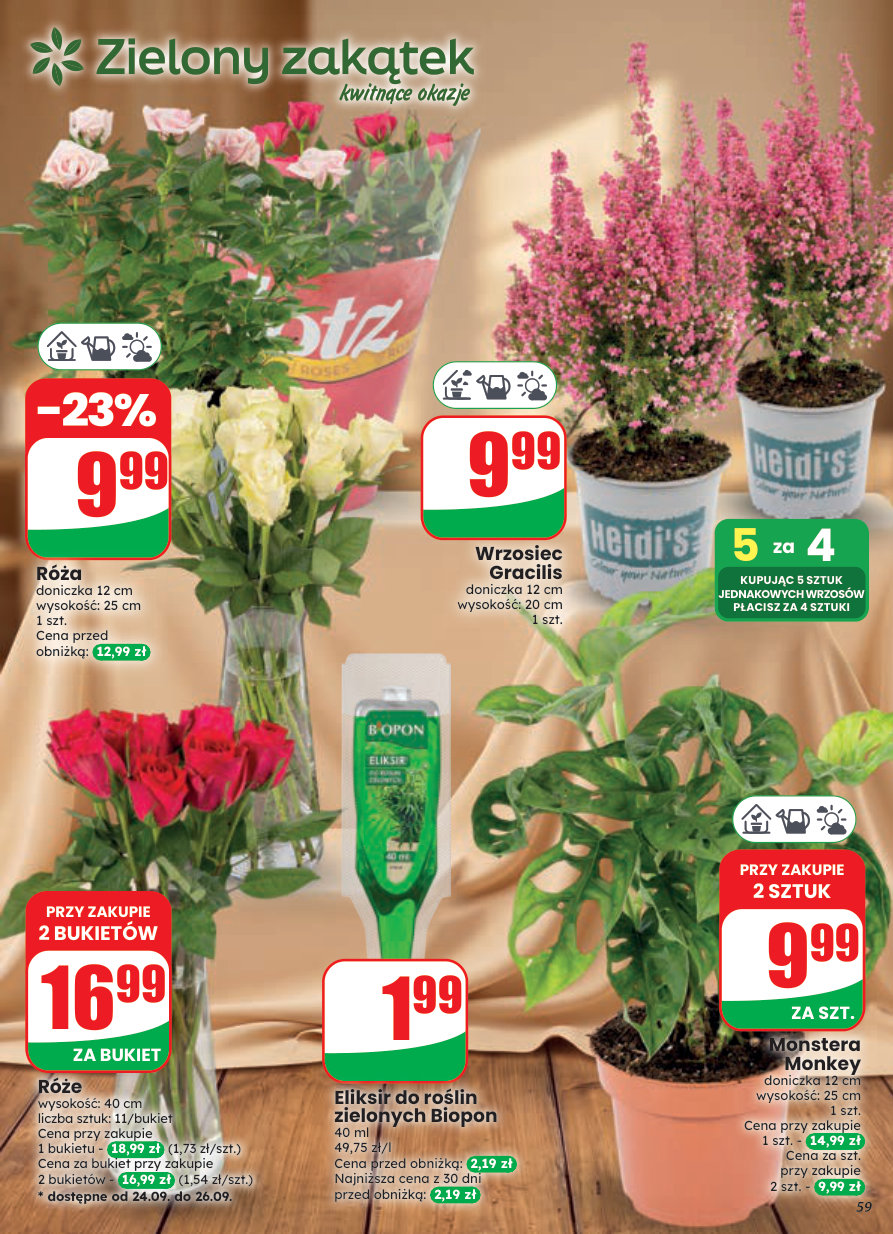 Dino gazetka promocyjna 21.09-29.09.2026 — strona 59 z 80