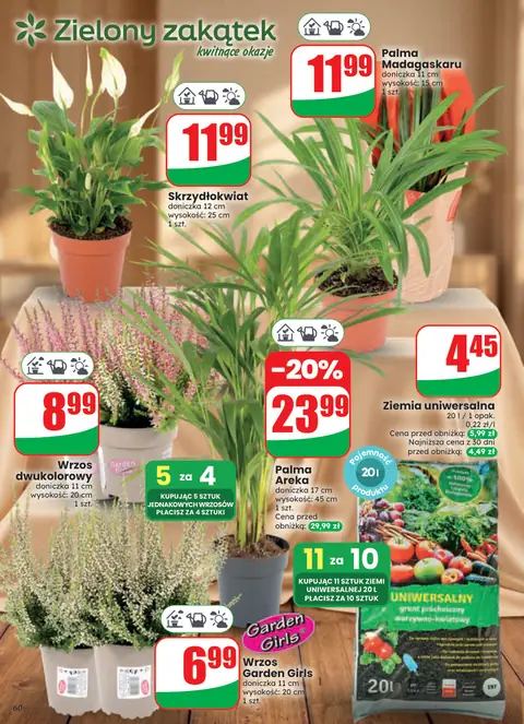 Dino gazetka promocyjna 23.09-29.09.2026 — strona 60