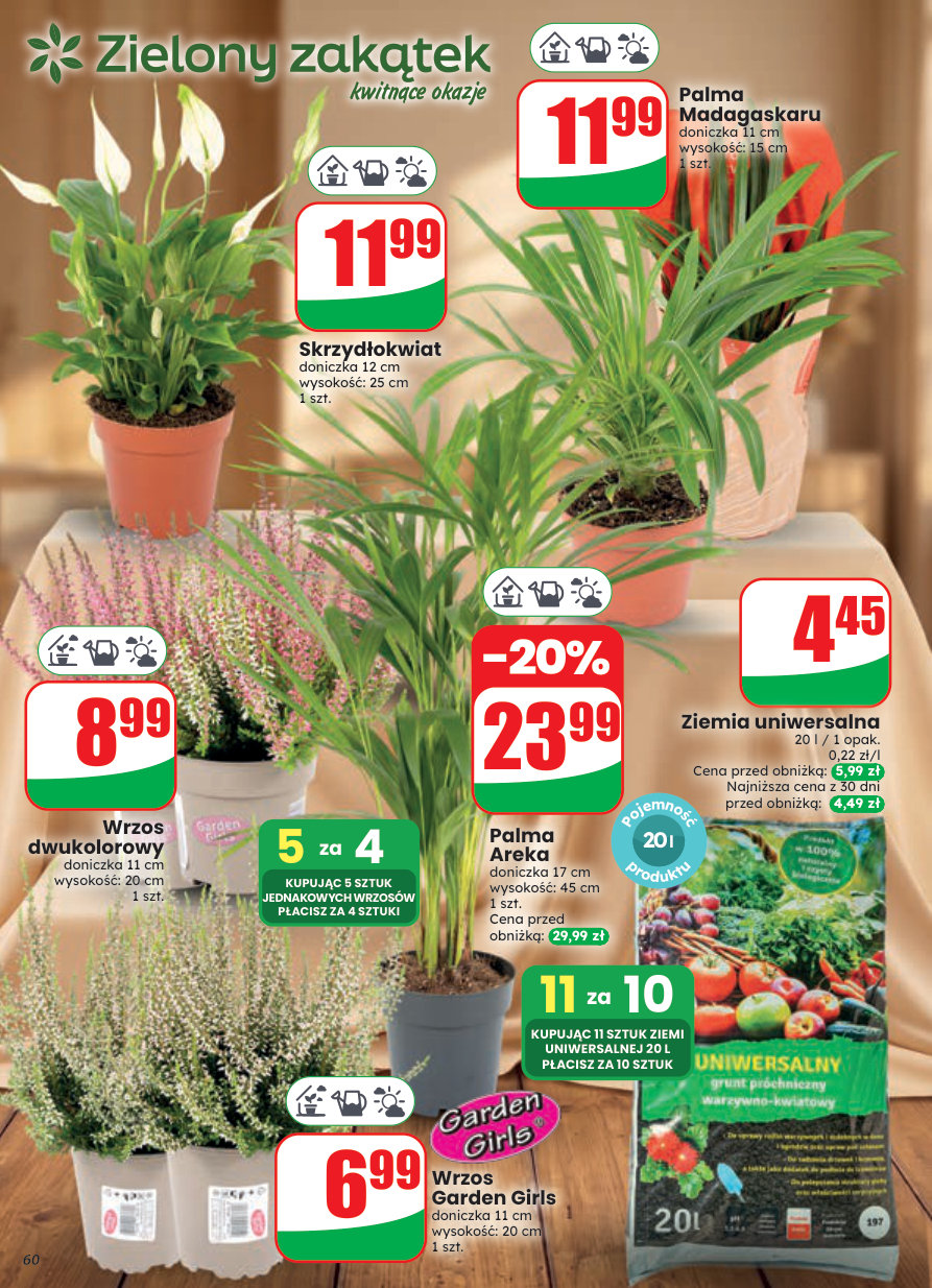 Dino gazetka promocyjna 21.09-29.09.2026 — strona 60 z 80
