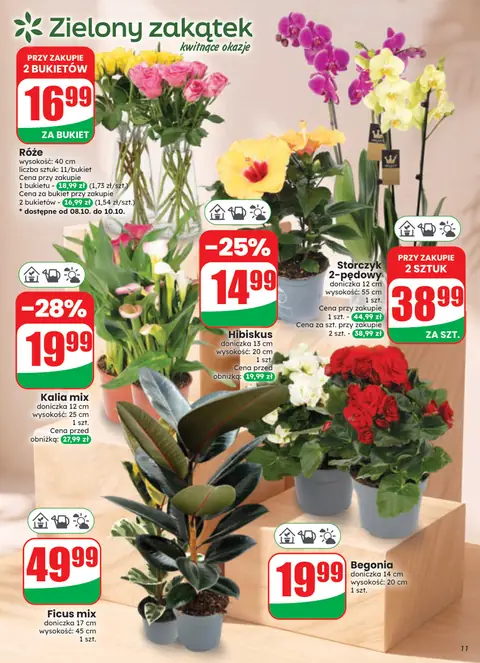 Dino gazetka promocyjna 07.10-13.10.2026 — strona 11 z 80