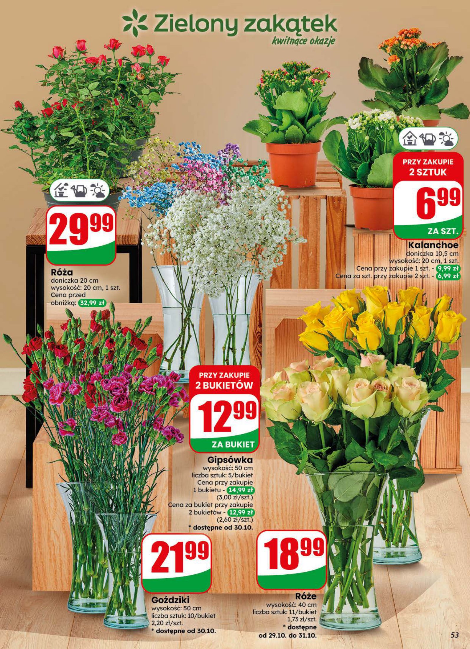 Dino gazetka promocyjna 28.10-03.11.2026 — strona 53 z 75