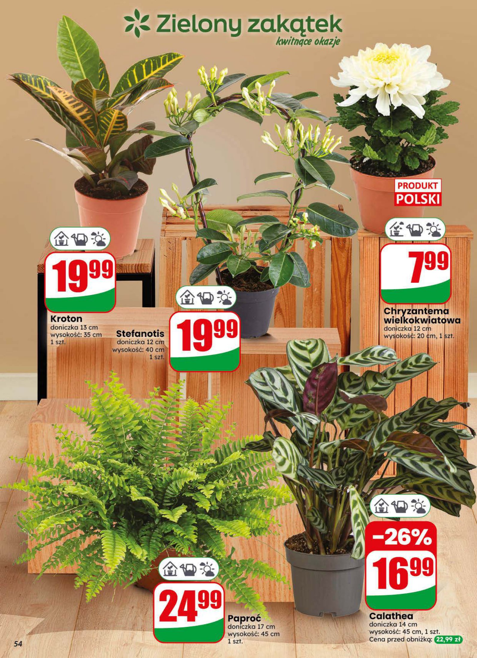 Dino gazetka promocyjna 28.10-03.11.2026 — strona 54 z 75