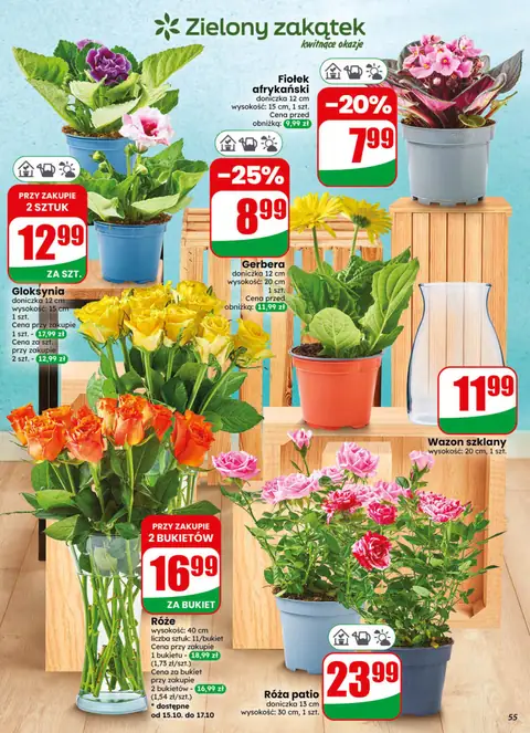 Dino gazetka promocyjna 14.10-20.10.2026 — strona 55 z 75