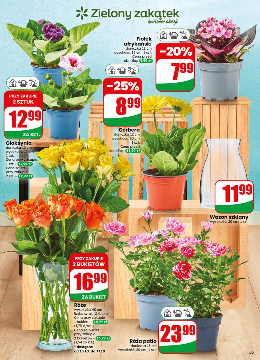 Dino gazetka promocyjna 14.10-20.10.2026 — strona 55 z 75