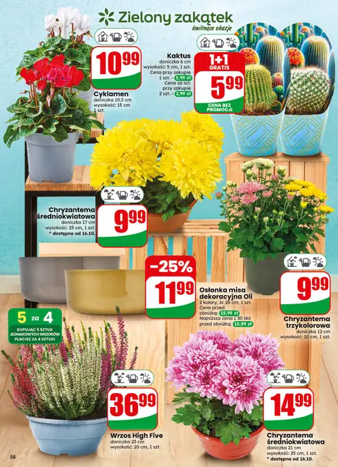 Dino gazetka promocyjna 14.10-20.10.2026 — strona 56 z 75