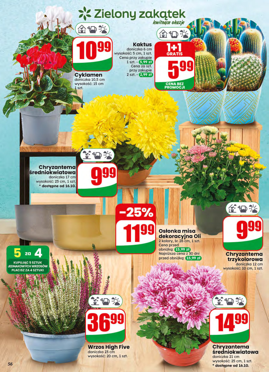 Dino gazetka promocyjna 14.10-20.10.2026 — strona 56 z 75