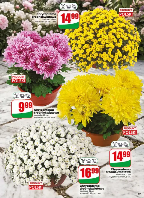 Dino gazetka promocyjna 28.10-03.11.2026 — strona 59 z 69