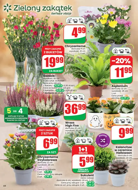 Dino gazetka promocyjna 21.10-27.10.2026 — strona 64 z 86