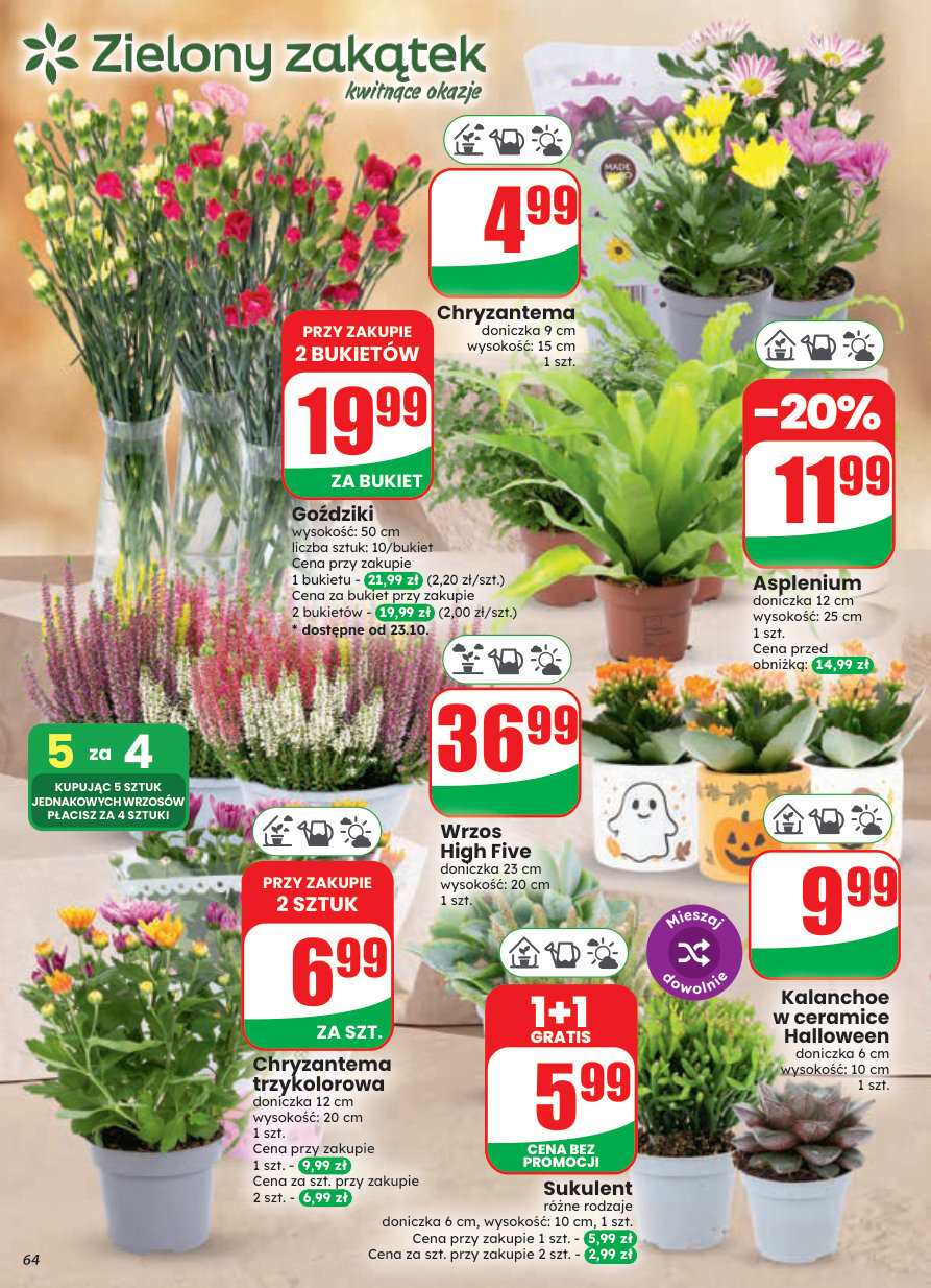 Dino gazetka promocyjna 21.10-27.10.2026 — strona 64 z 91