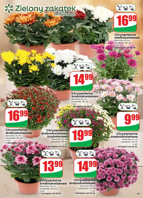 Dino gazetka promocyjna 21.10-27.10.2026 — strona 65 z 86