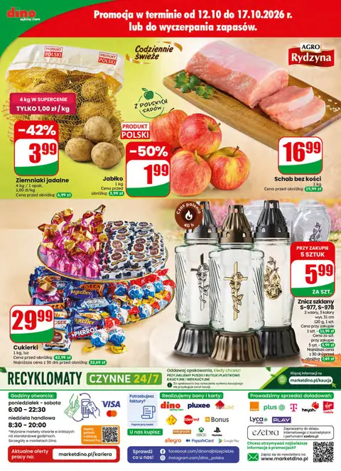 Dino gazetka promocyjna 14.10-20.10.2026 — strona 75 z 75