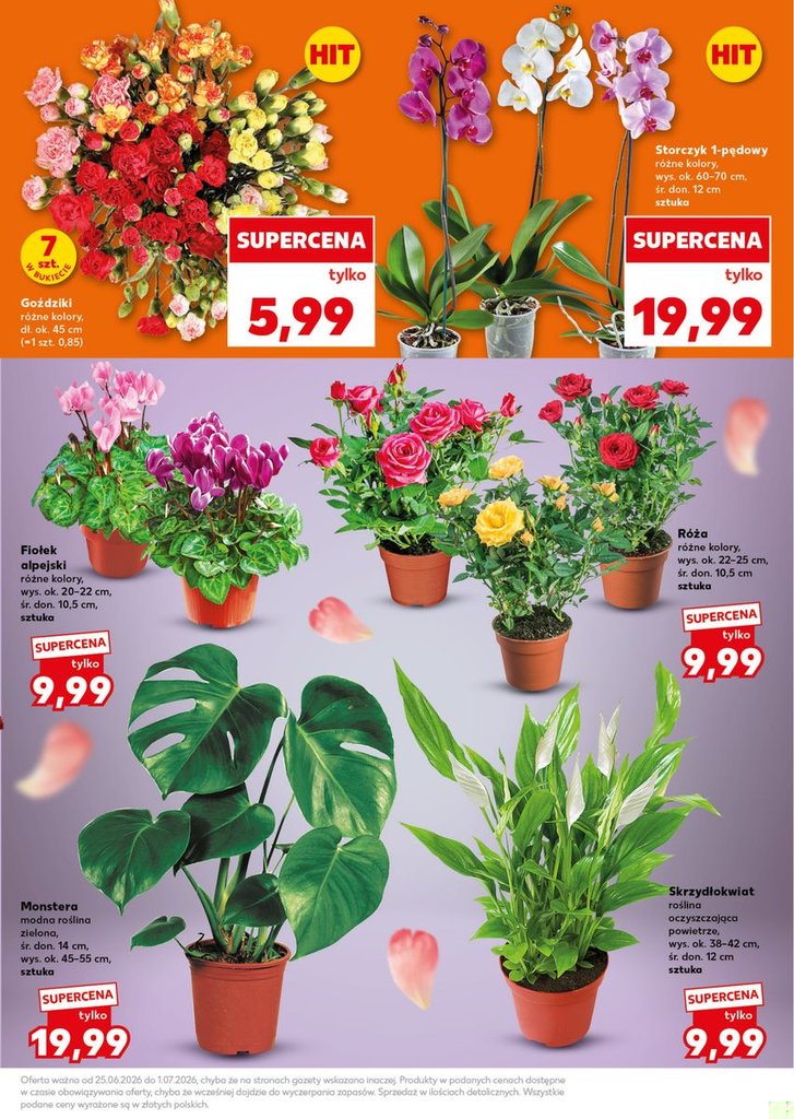 Kaufland gazetka promocyjna 29.06-01.07.2026 — strona 7 z 32
