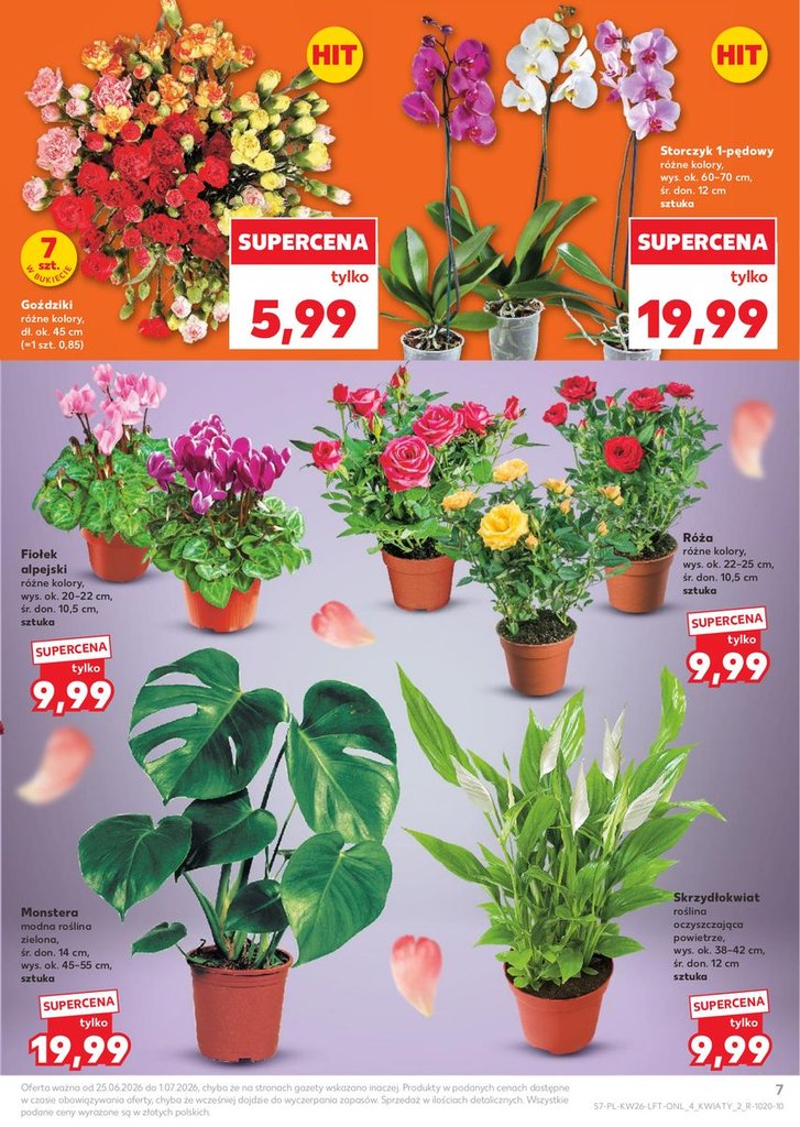 Kaufland gazetka promocyjna 25.06-01.07.2026 — strona 7 z 66