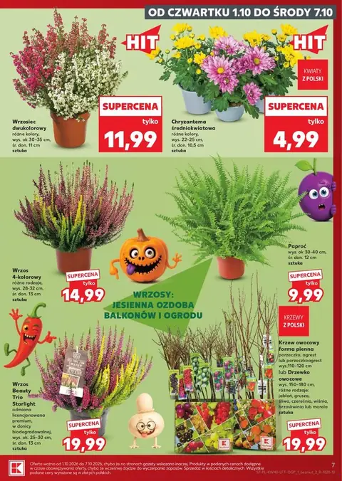 Kaufland gazetka promocyjna 01.10-07.10.2026 — strona 7 z 69