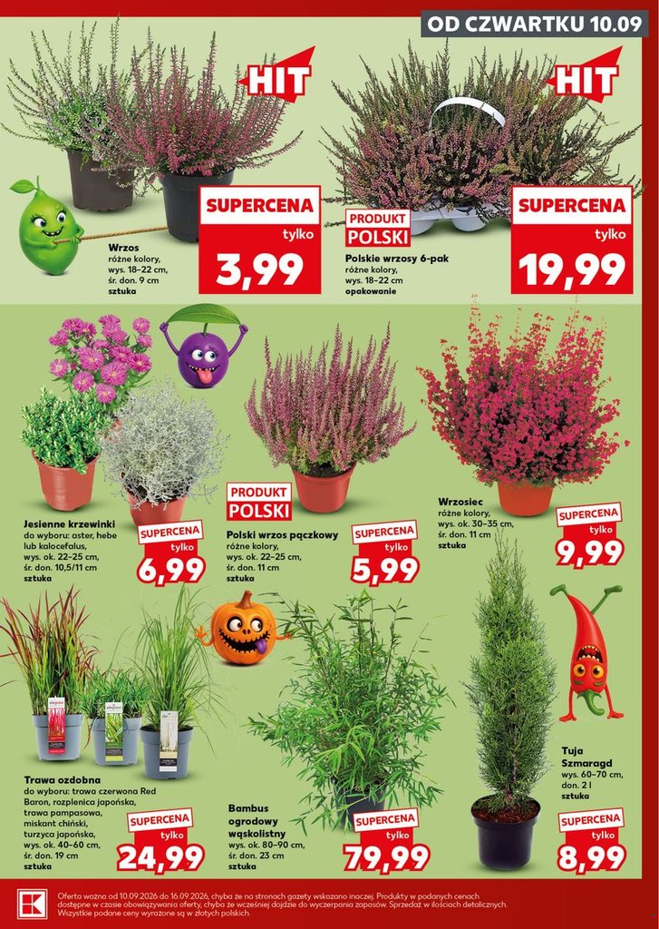Kaufland gazetka promocyjna 10.09-16.09.2026 — strona 7 z 28