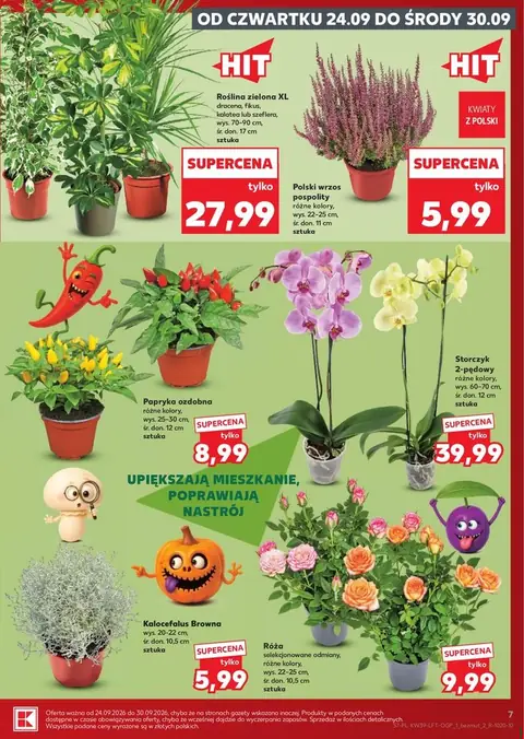Kaufland gazetka promocyjna 24.09-30.09.2026 — strona 7 z 71