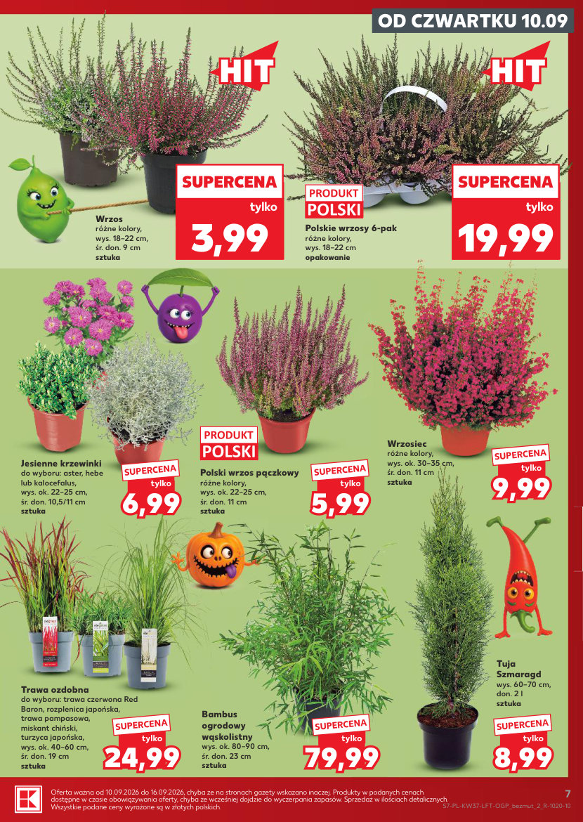 Kaufland gazetka promocyjna 10.09-16.09.2026 — strona 7 z 34