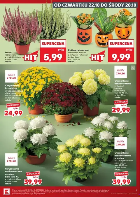 Kaufland gazetka promocyjna 22.10-28.10.2026 — strona 7 z 59