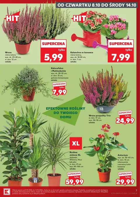 Kaufland gazetka promocyjna 08.10-14.10.2026 — strona 7 z 69