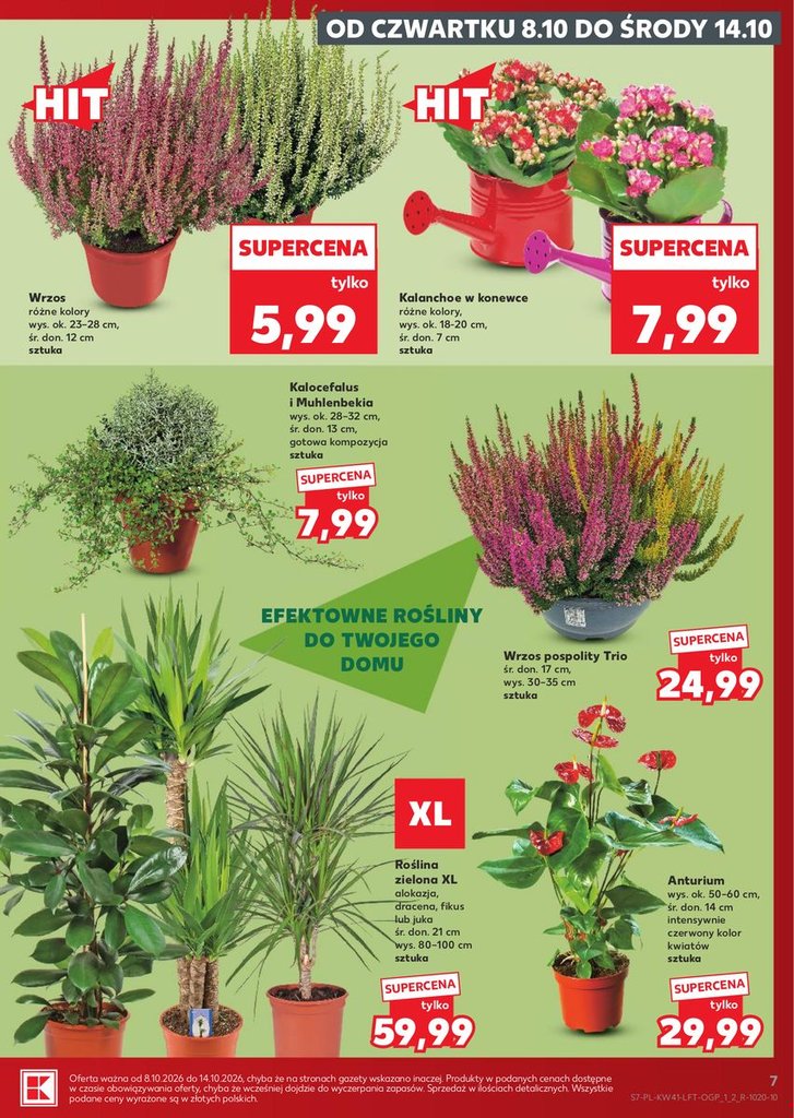 Kaufland gazetka promocyjna 08.10-14.10.2026 — strona 7 z 69