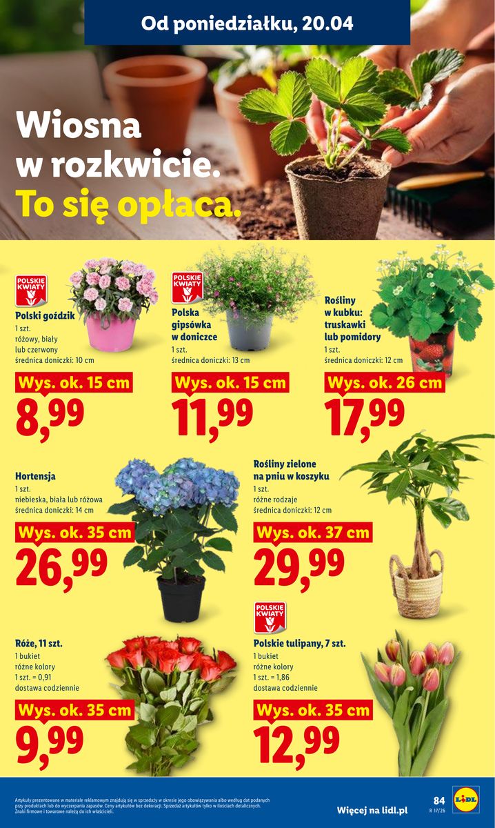 Lidl gazetka promocyjna 20.04-22.04.2026 — strona 87 z 94