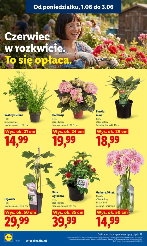 Lidl gazetka promocyjna 01.06-03.06.2026 — strona 106 z 101