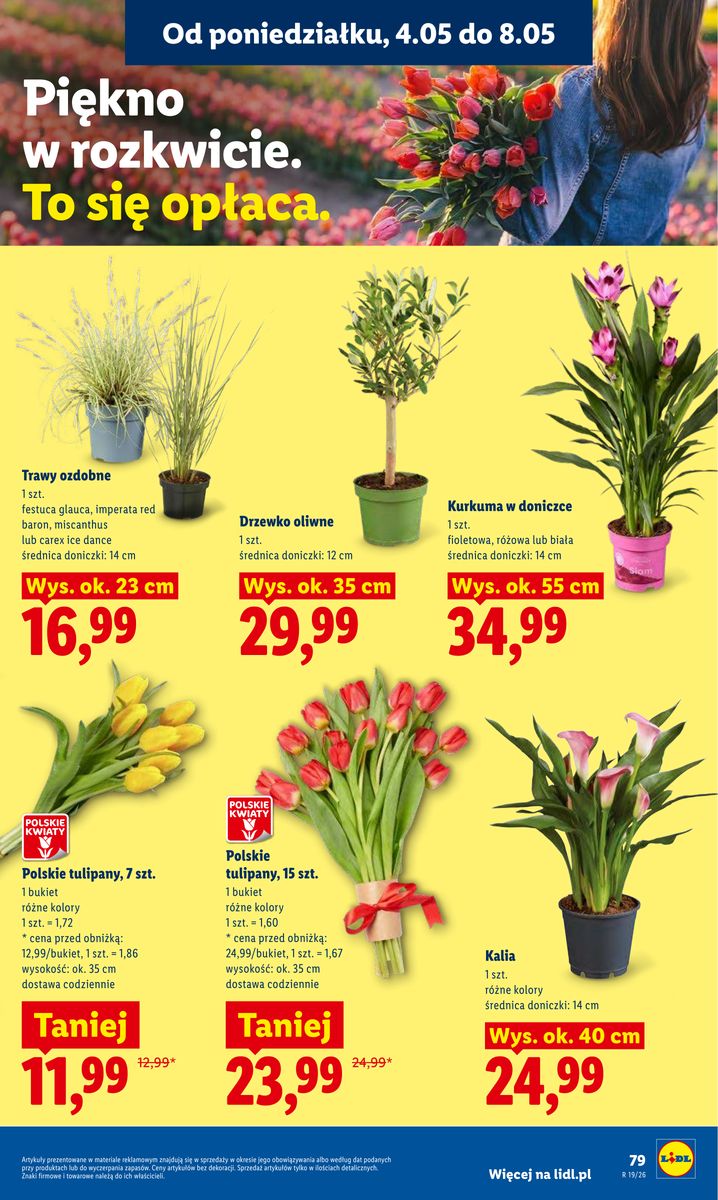 Lidl gazetka promocyjna 04.05-06.05.2026 — strona 83 z 92