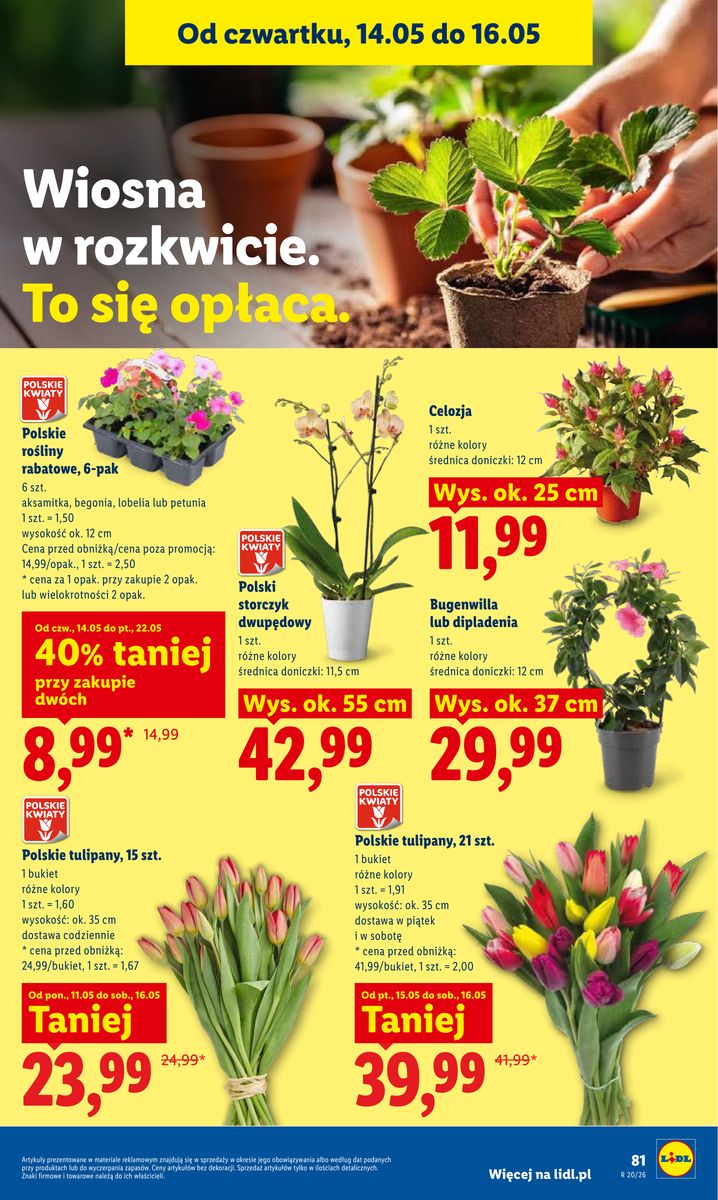 Lidl gazetka promocyjna 14.05-16.05.2026 — strona 87 z 84