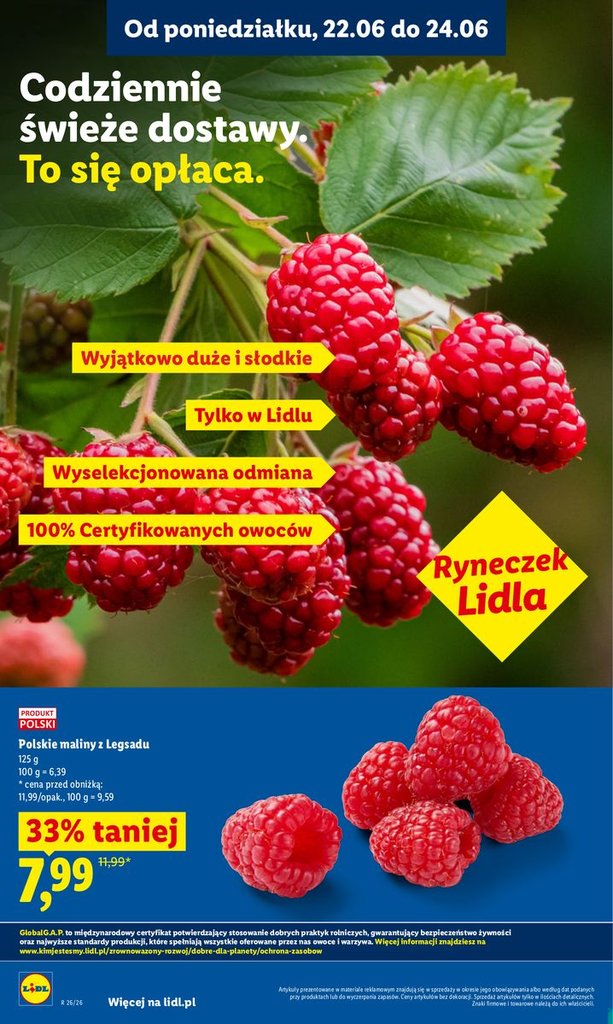 Lidl gazetka promocyjna 22.06-24.06.2026 — strona 36 z 94