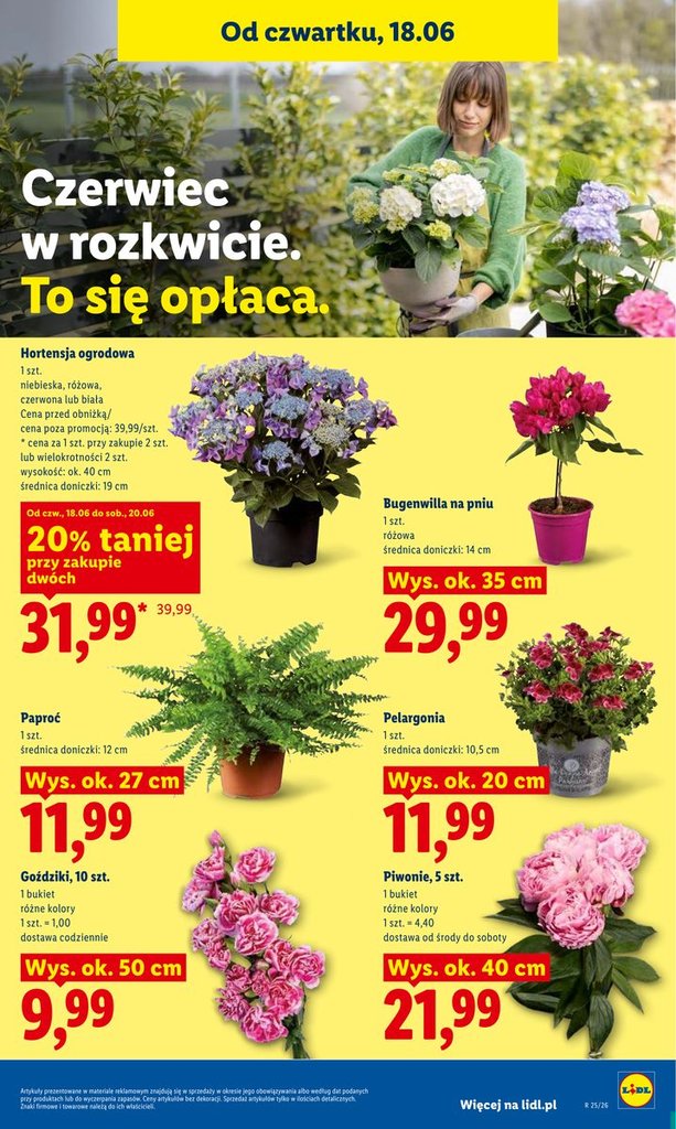 Lidl gazetka promocyjna 18.06-20.06.2026 — strona 79 z 89