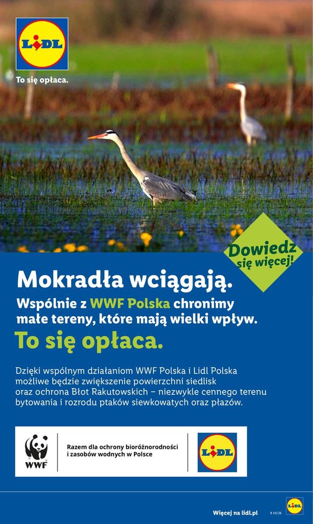 Lidl gazetka promocyjna 29.06-01.07.2026 — strona 84 z 85