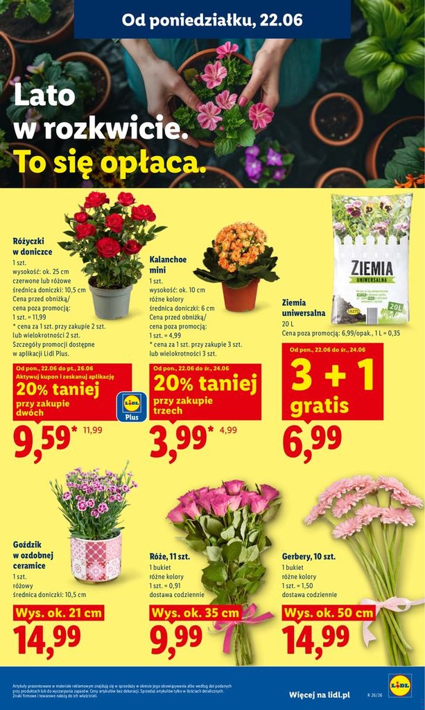 Lidl gazetka promocyjna 22.06-24.06.2026 — strona 87 z 94