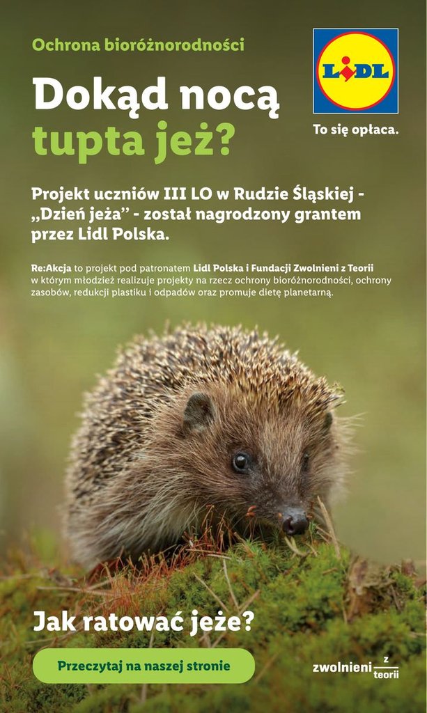 Lidl gazetka promocyjna 18.06-20.06.2026 — strona 89 z 89