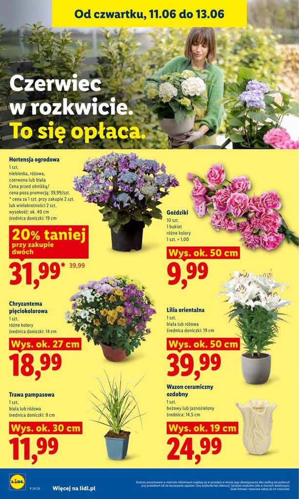 Lidl gazetka promocyjna 11.06-13.06.2026 — strona 92 z 92