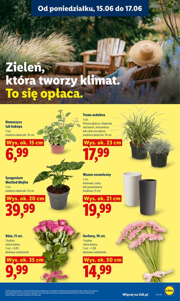 Lidl gazetka promocyjna 15.06-17.06.2026 — strona 97 z 101