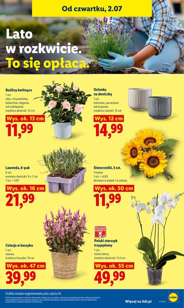 Lidl gazetka promocyjna 02.07-04.07.2026 — strona 81 z 90