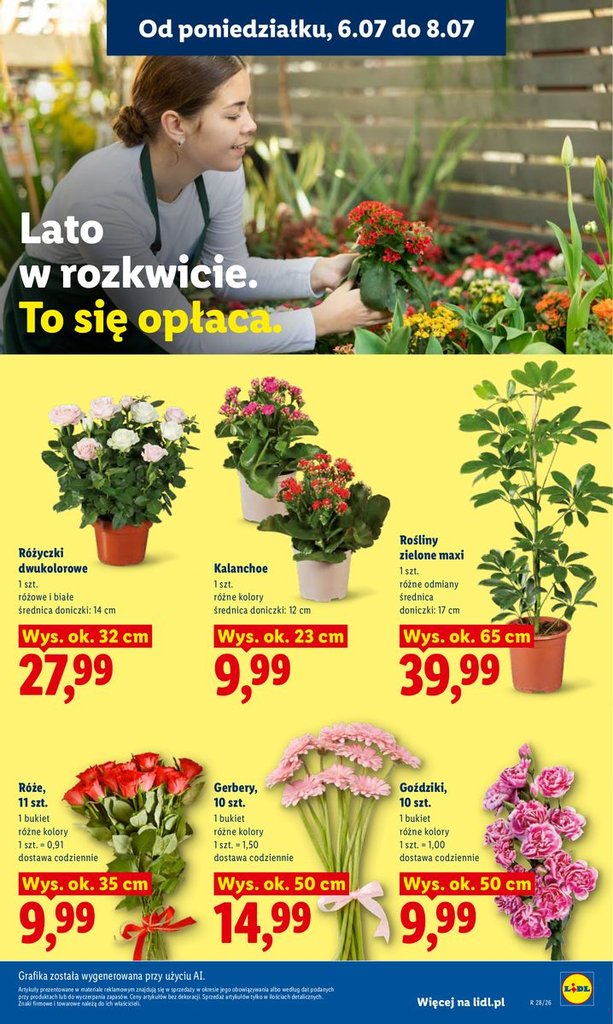 Lidl gazetka promocyjna 06.07-08.07.2026 — strona 87 z 83