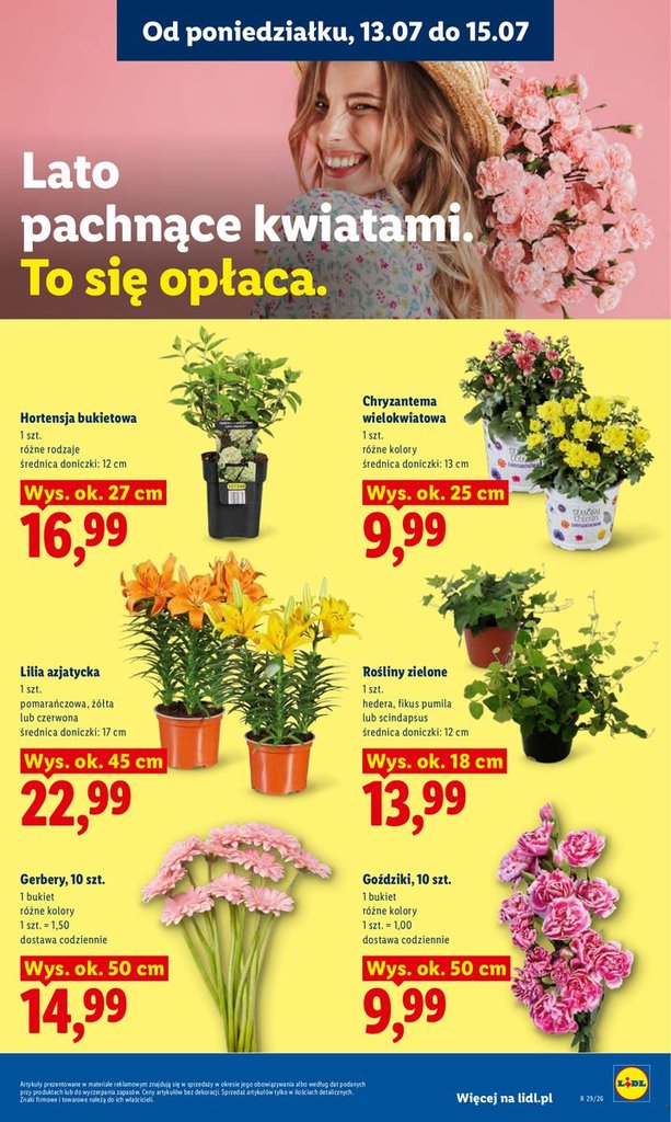 Lidl gazetka promocyjna 13.07-15.07.2026 — strona 87 z 94