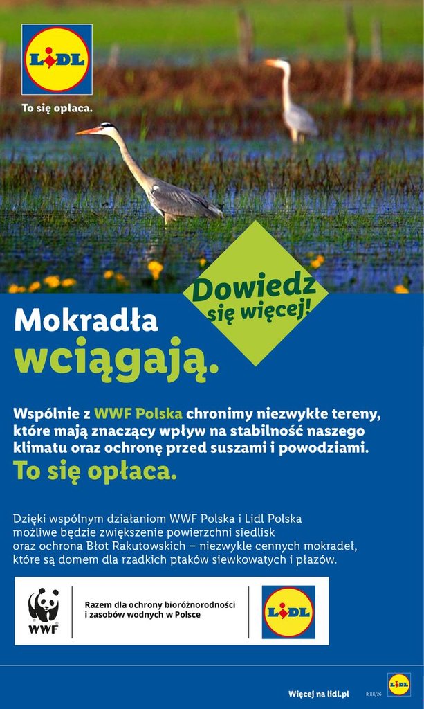 Lidl gazetka promocyjna 02.07-04.07.2026 — strona 89 z 90