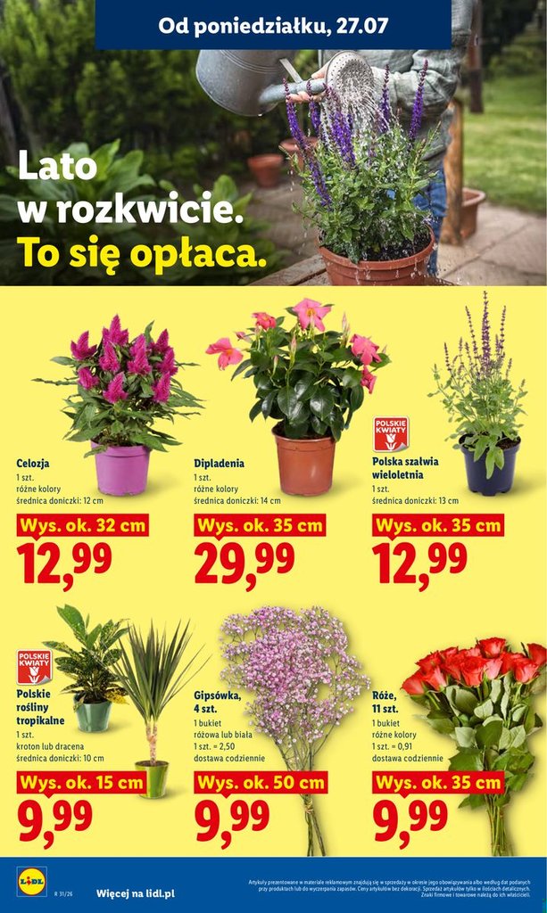 Lidl gazetka promocyjna 27.07-29.07.2026 — strona 92 z 92