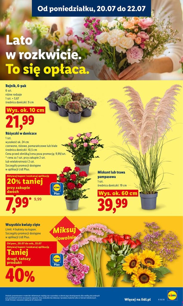 Lidl gazetka promocyjna 20.07-22.07.2026 — strona 99 z 98