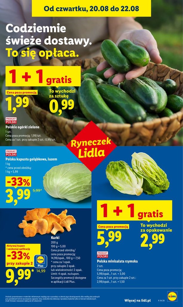 ogórek zielony