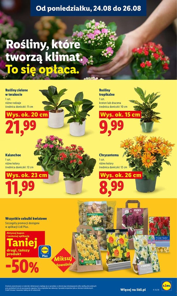 Lidl gazetka promocyjna 24.08-26.08.2026 — strona 85 z 100